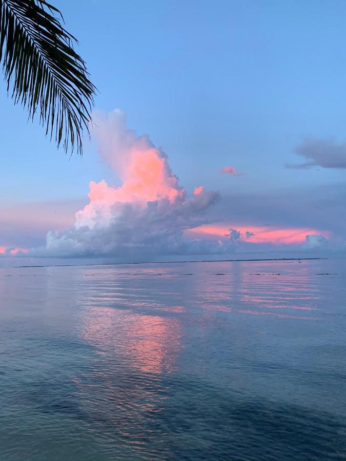 The Quetzal Bed and Breakfast Cancún Exteriör bild