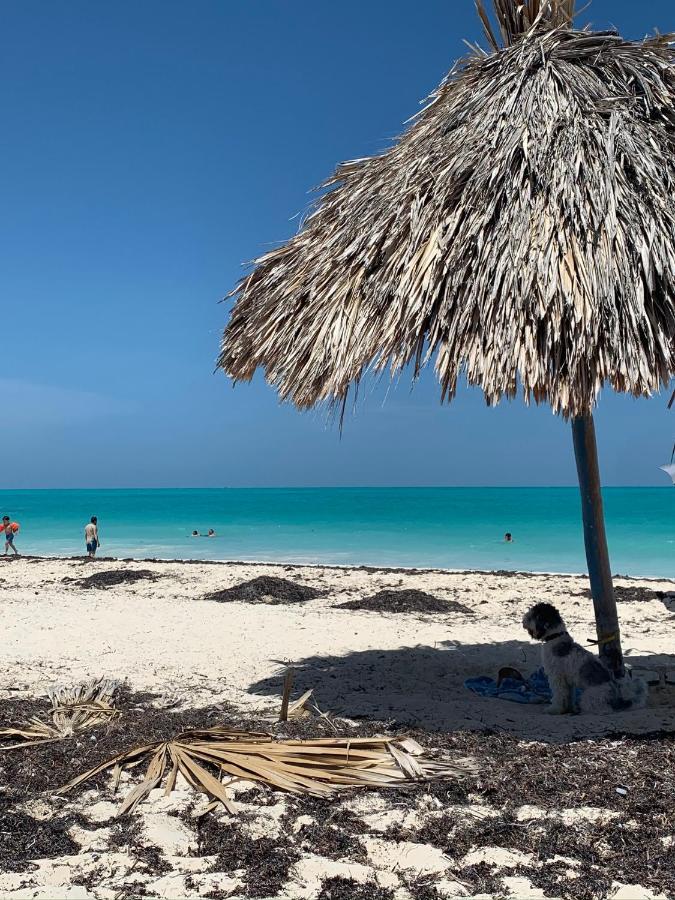 The Quetzal Bed and Breakfast Cancún Exteriör bild