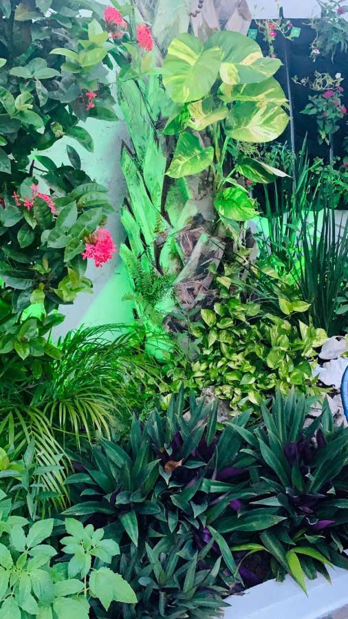 The Quetzal Bed and Breakfast Cancún Exteriör bild